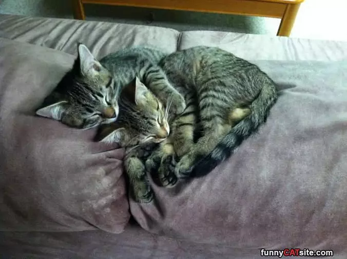We Are Taking A Nap