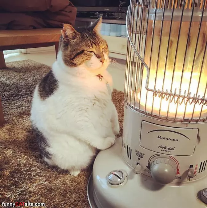 Getting Warmed Up