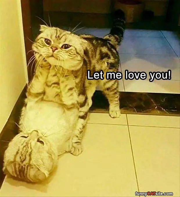Let Me Love You
