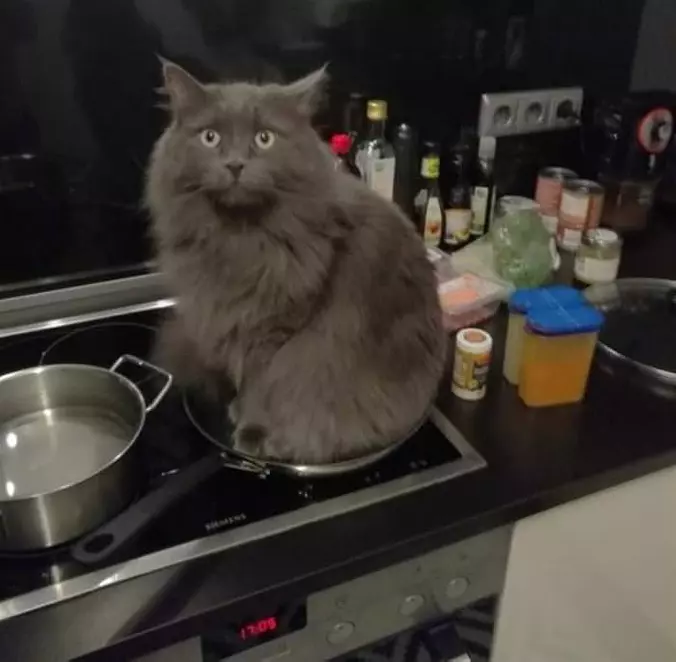 A Frying Pan