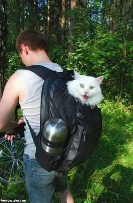 Backpacking