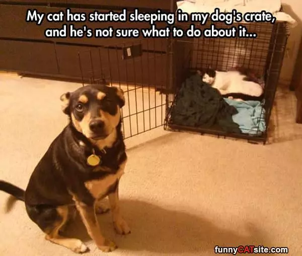 Took My Bed