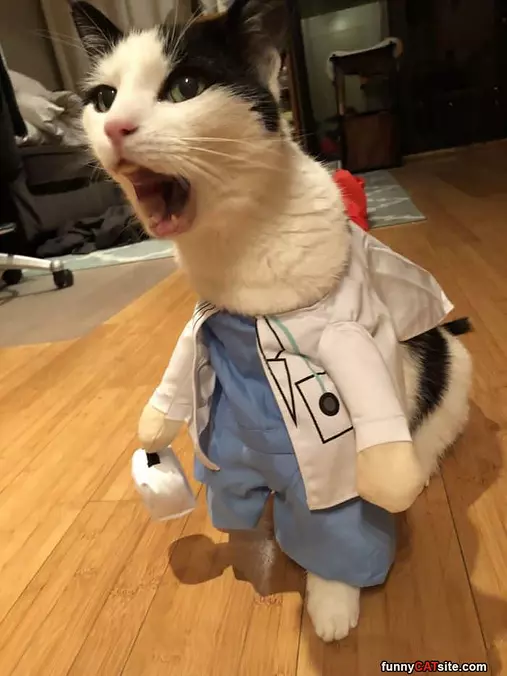 Rarrrrrrr
