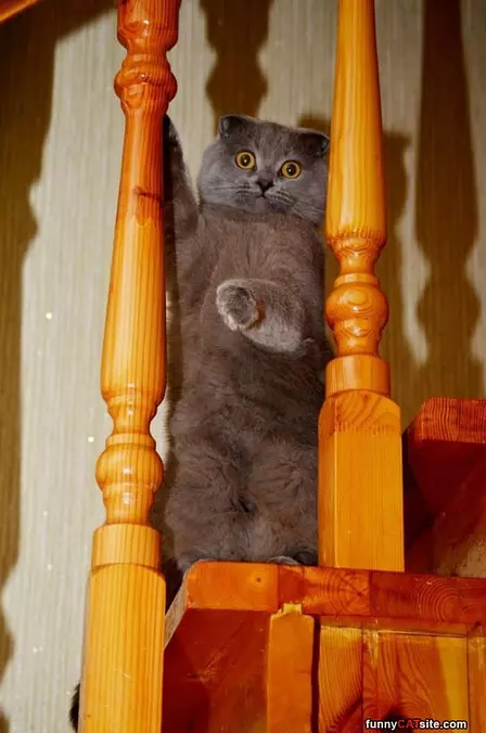 Oh Hi There