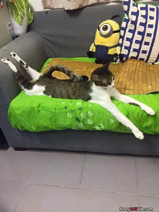 This Is My Relaxed Pose