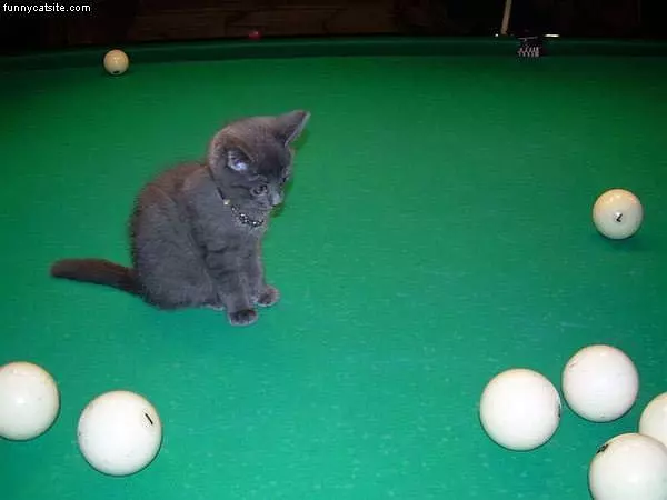 Lets Play Pools