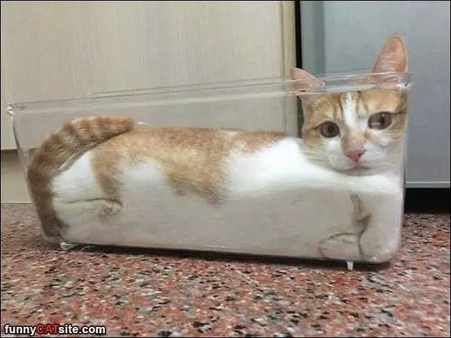 I Am Soooo Melted