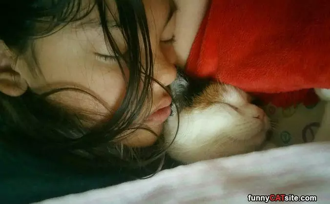 Cuddle