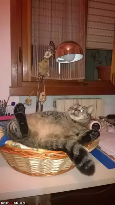 I Am Sooo Lazy