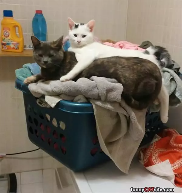 Warming Each Other Up