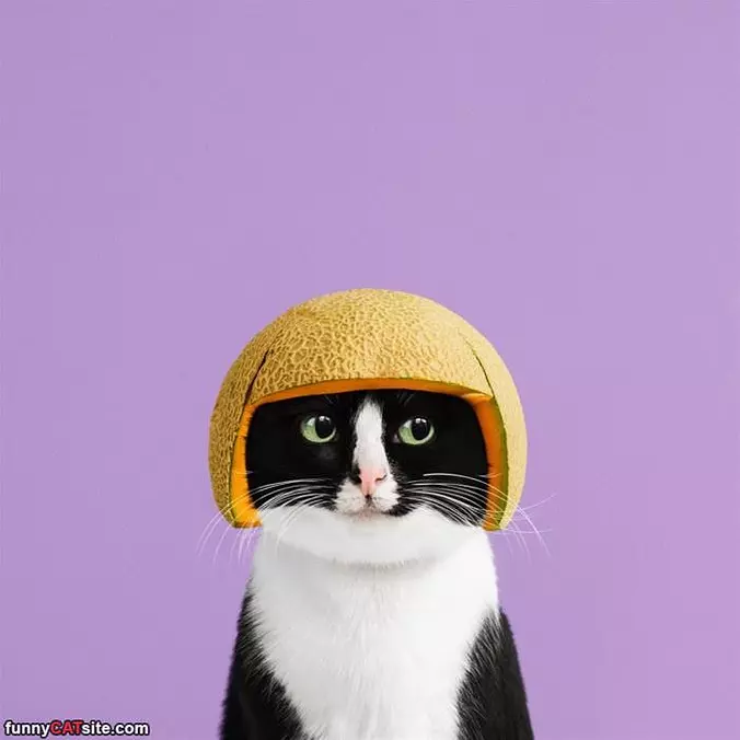 Nice Helmet