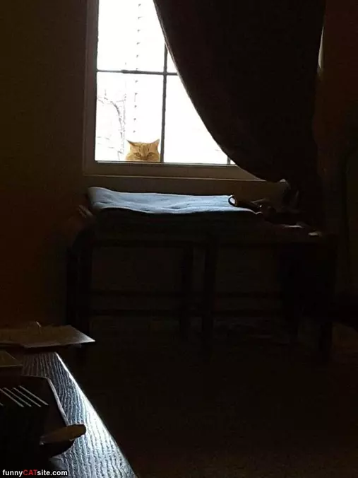 I See You