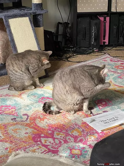 I Cannot Watch