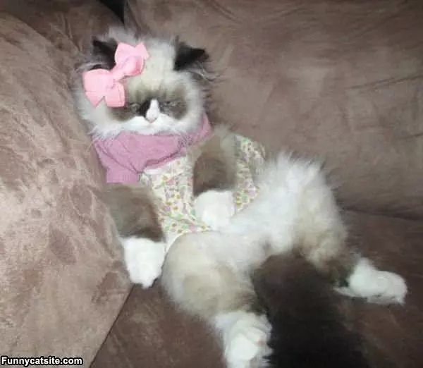 I Has A Bad Day