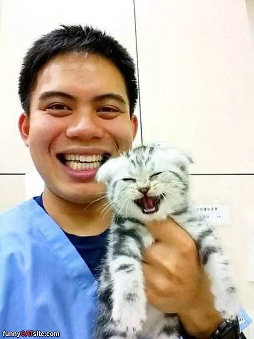 He He He He