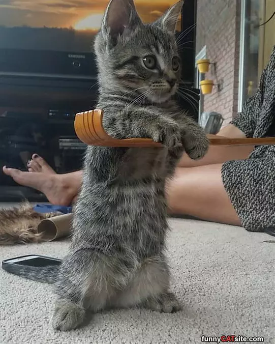 Help Me Stand