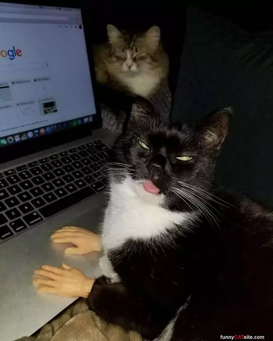 Hands Out