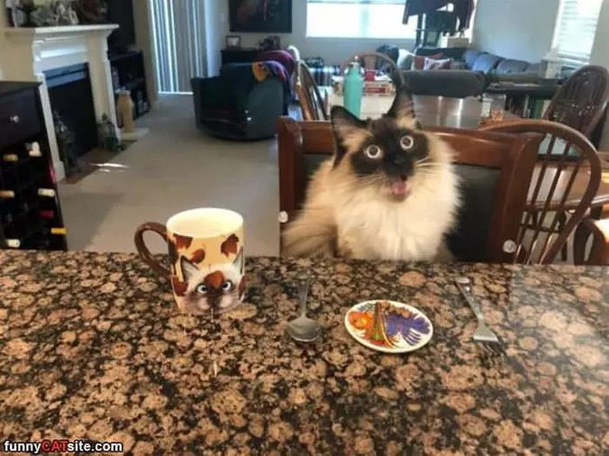 This Is For Meeeeee