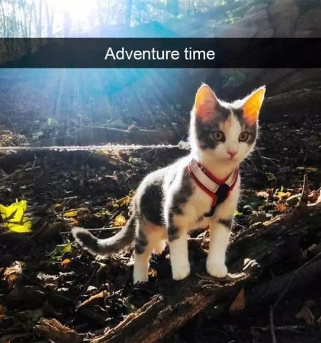 Adventure Time
