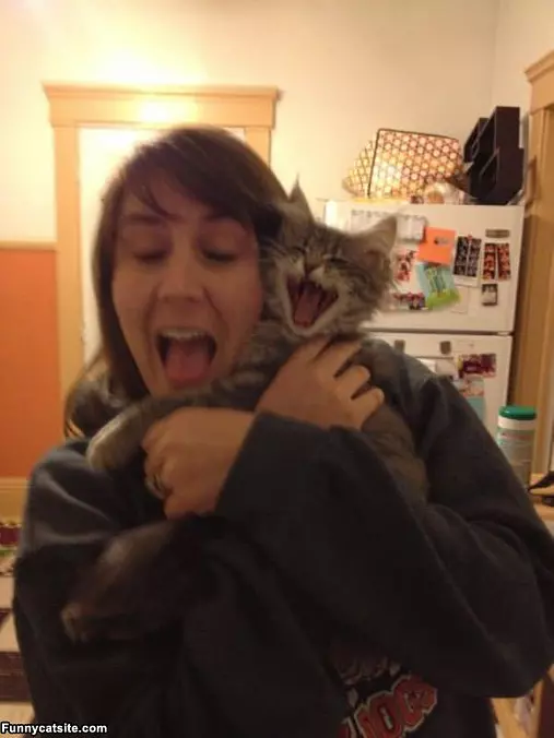 Hahahaha You Funny Human