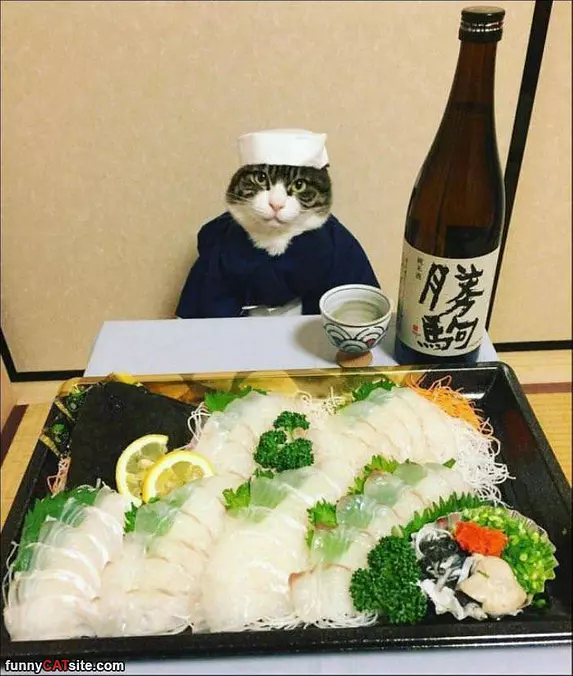 How Can I Help You