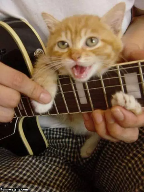 Playing Some Guitar