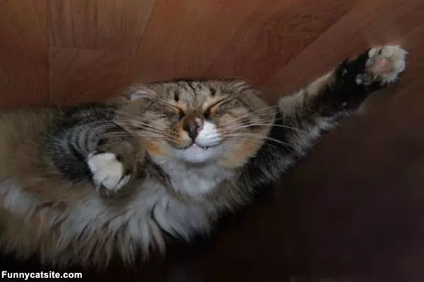Very Stretchy
