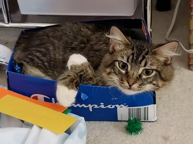 My Box