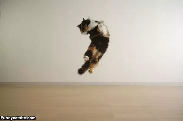Jump Attack