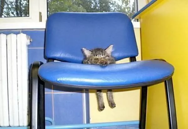 Need A Smaller Chair