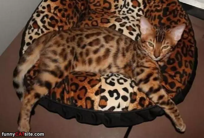 Just Relaxing Here