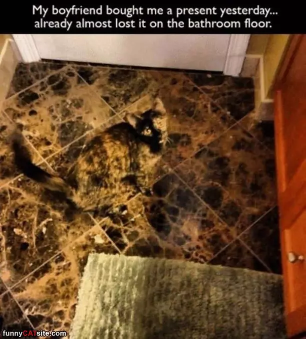 Blending In Perfectly