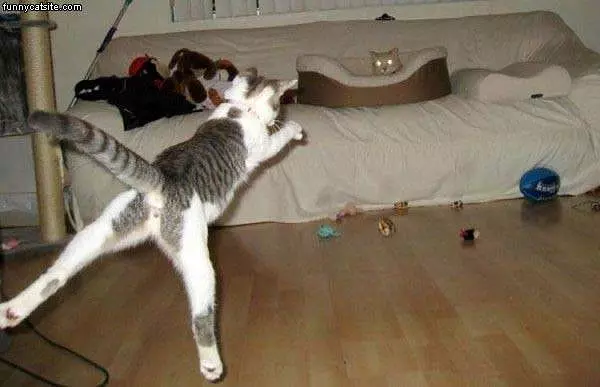 He Can Fly