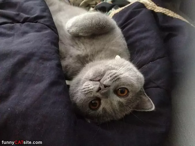 Just So Relaxed