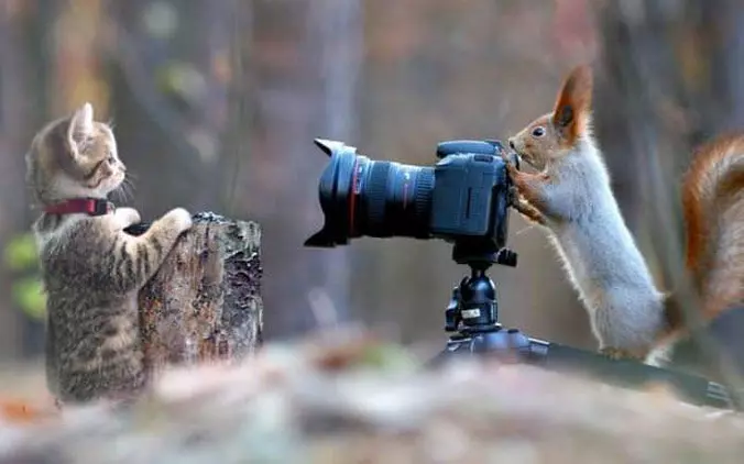 Take My Picture