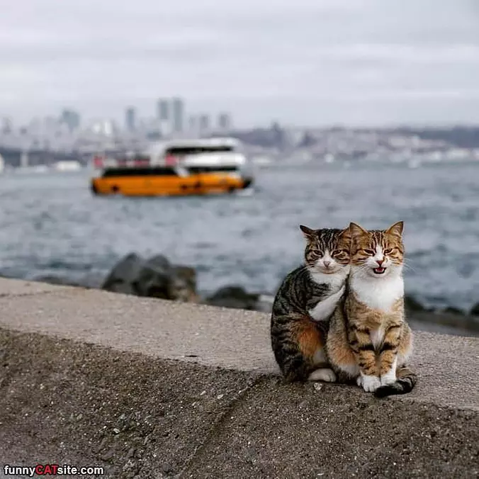 Hanging Together
