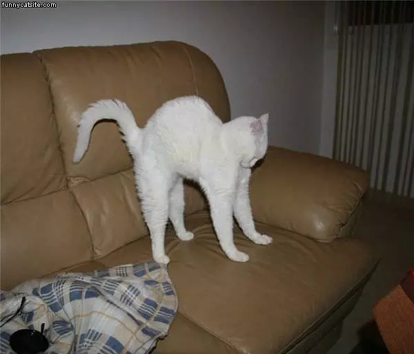 Super Stretch