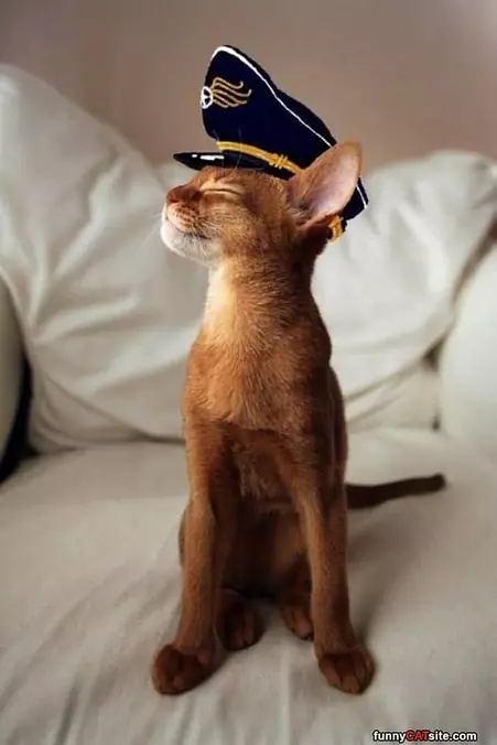 I Am The Captain Here