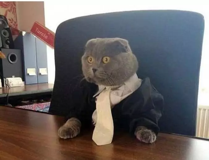 I Am Business