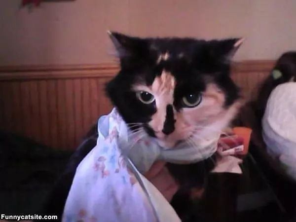 I Luv This Scarf