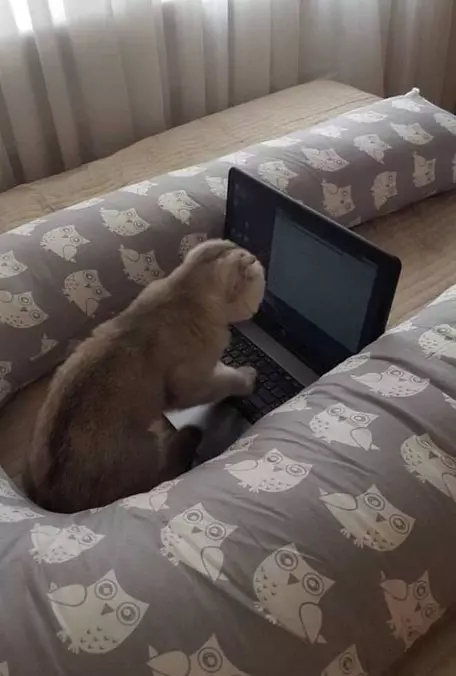 Got My Laptop Out