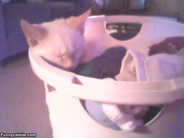 Laundry Day