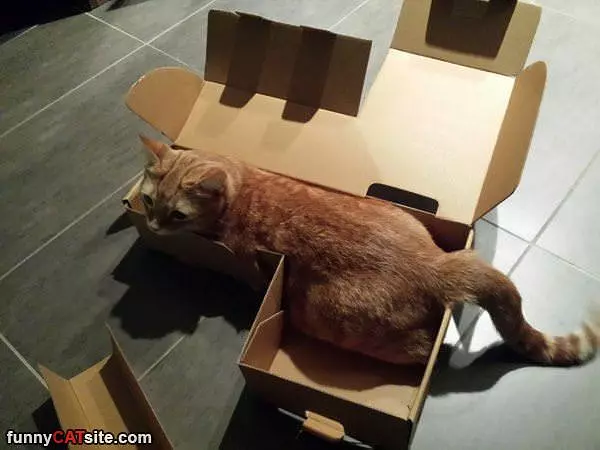 Inthe Box