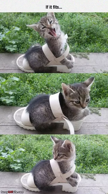 If I Fits