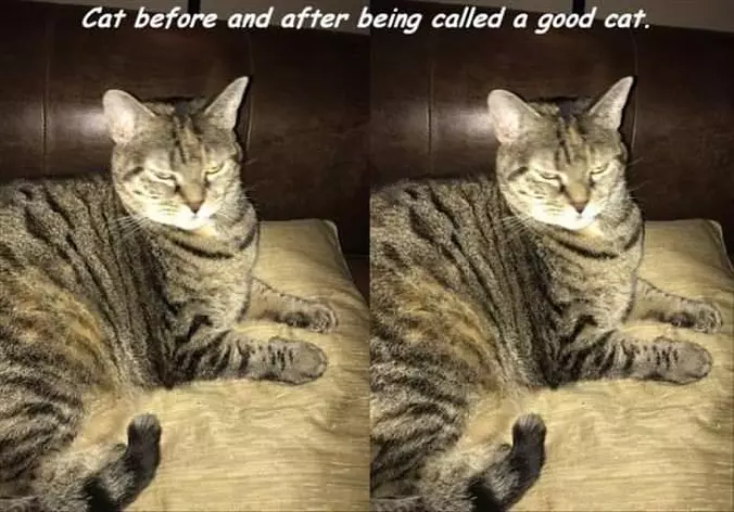Before And After