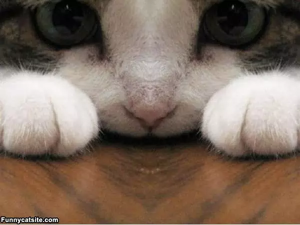 Super Extreme Closeup