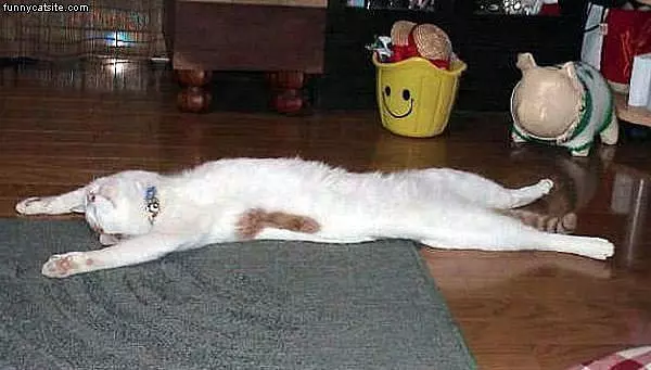 Sprawled Out