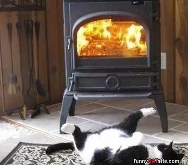 This Is Warm Enough