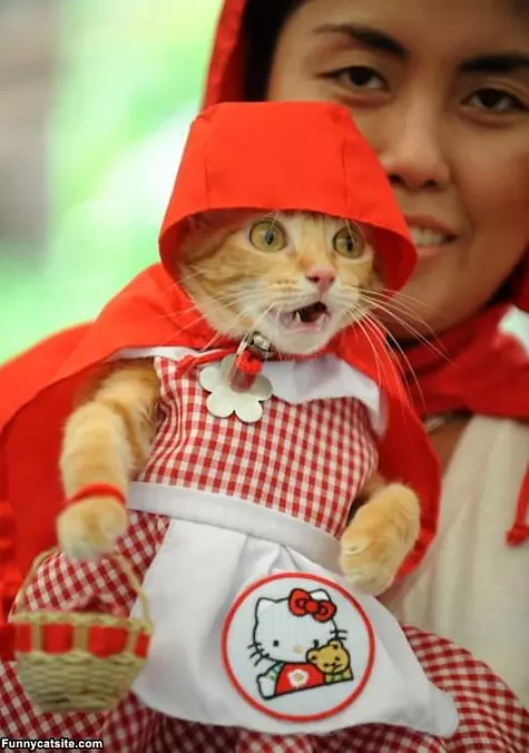 Red Riding Hood