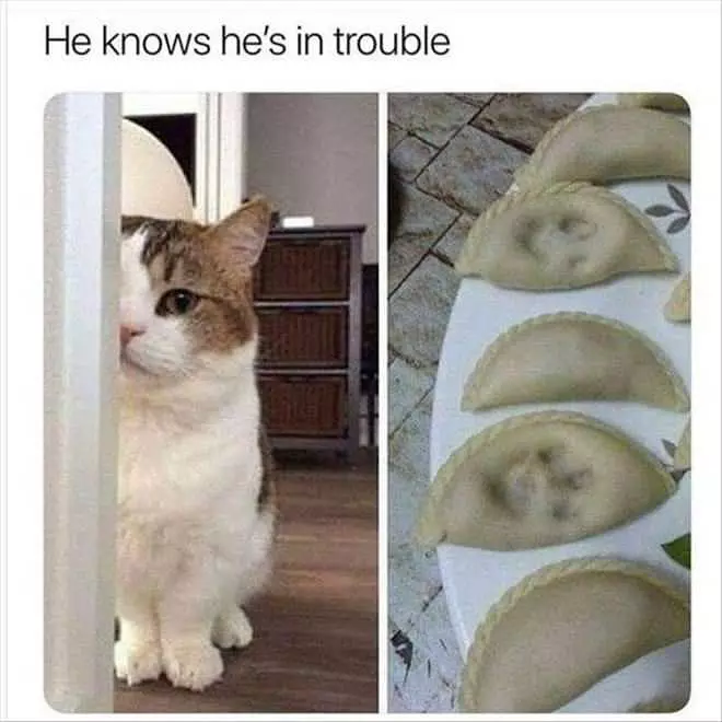 He Knows He Is In Trouble